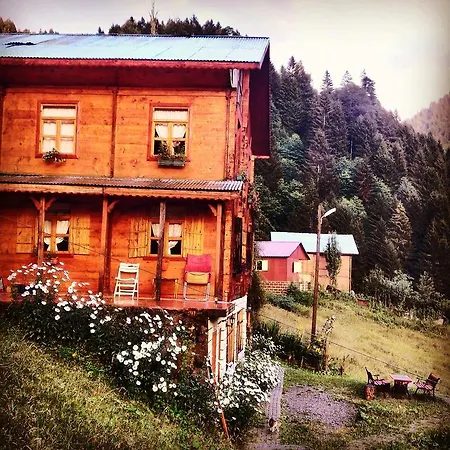 Liligum Dag Evi Guest house Ayder Yaylasi