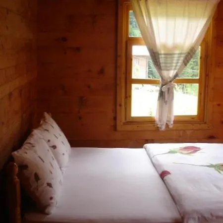 Liligum Dag Evi 3*